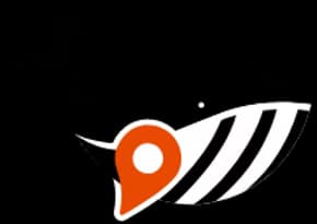 Map My Circle Whale